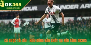 Cá Cược Tài Xỉu – Hiểu Đúng Bản Chất Tại Nền Tảng OK365