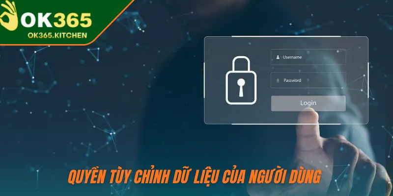 Quyền tùy chỉnh dữ liệu của người dùng