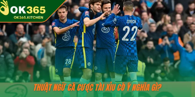 Thuật ngữ cá cược tài xỉu có ý nghĩa gì?