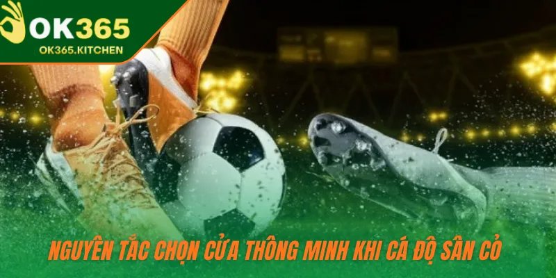 Nguyên tắc chọn cửa thông minh khi cá độ sân cỏ 