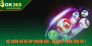 Dự Đoán Xổ Số Vip Chuẩn Xác – Bí Quyết Phân Tích Số 1