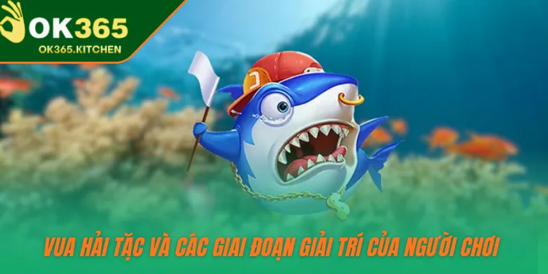 Vua Hải Tặc và các giai đoạn giải trí của người chơi