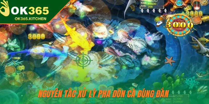 Nguyên tắc xử lý pha dồn cá đúng đắn 