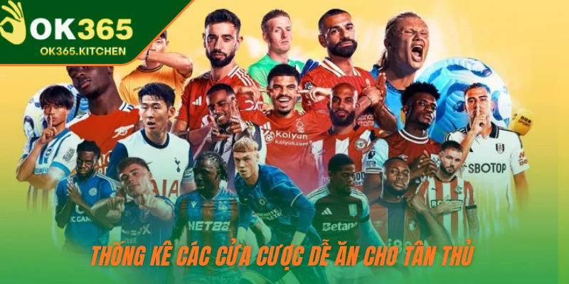 Thống kê các cửa cược dễ ăn cho tân thủ 